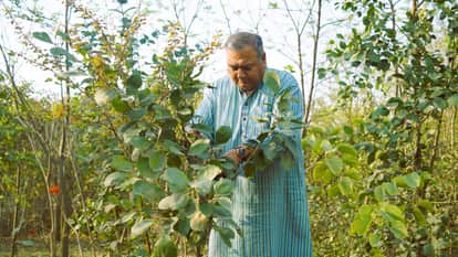 Indore News: Peepal Baba said- When your work speaks on the ground, then even the governments are forced to li