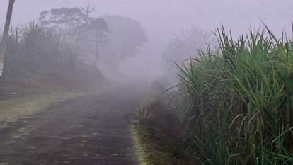 Saharanpur Colder Than Shimla, Breaks 5-Year Cold Record Amid Dense Fog