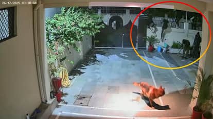 Bhopal News: Thieves stole Rs 18 lakh in cash and jewelry from a lawyer's house.