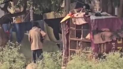 Liquor sold from chicken cage in public park near EWS colony in Chandigarh Sector 49