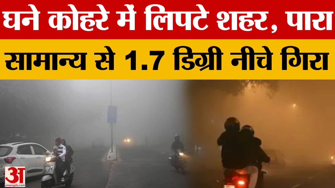 शीतलहर और घना कोहरा जारी, अमृतसर में दृश्यता शून्य, 16 जिलों में बारिश का अलर्ट