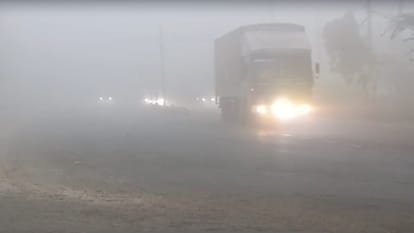 Dense fog in Punjab No relief despite rain visibility is zero