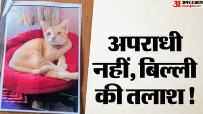 motihari police search missing pet cat rajash kumar nagar thana
