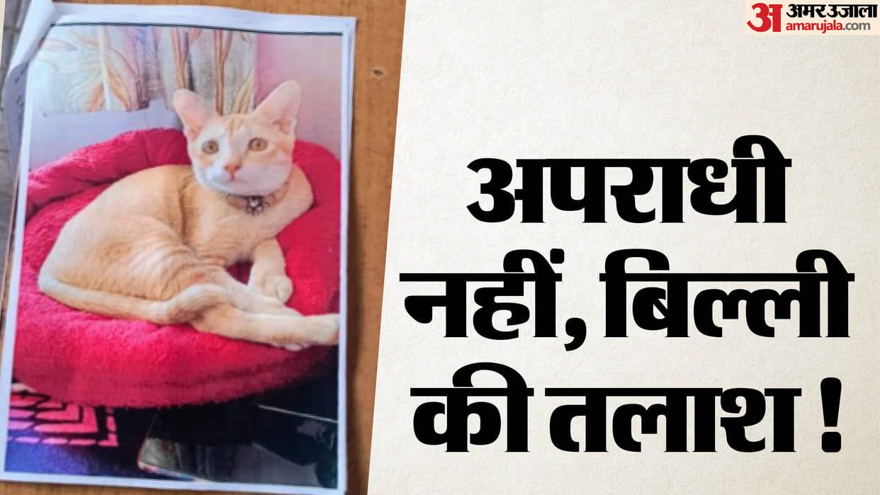 motihari police search missing pet cat rajash kumar nagar thana