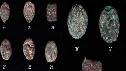 hoard of coins dating back to 800 BC has been discovered in Bahaj in Mathura