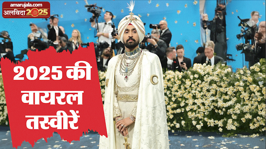 Year Ender 2025 Viral Celebs Photos And Looks Of Shah Rukh Khan Met Gala Monalisa Alia Bhatt Cannes Deepika