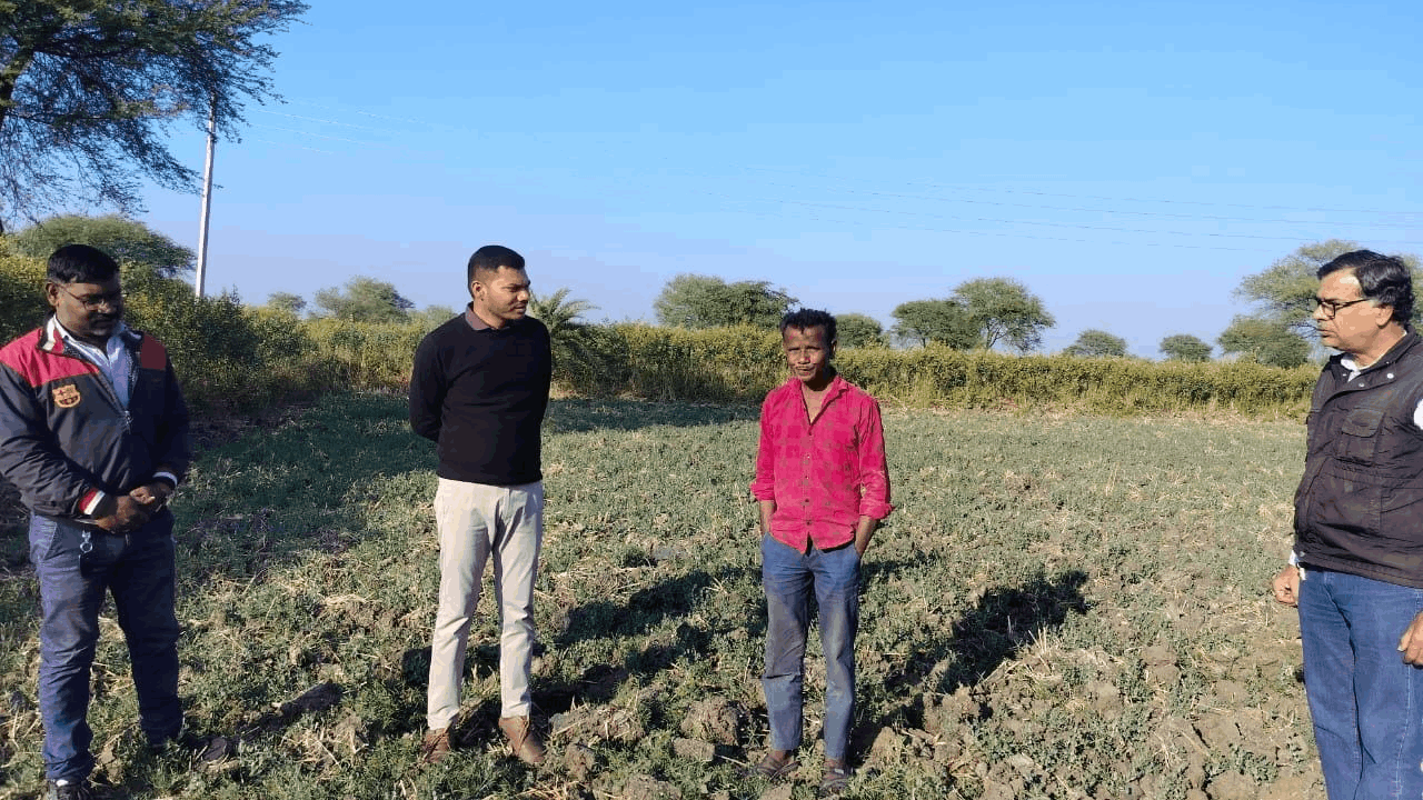 कलेक्टर प्रतिष्ठा ममगाई ने आदेश जारी किया