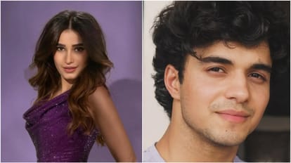 new year 2026 upcoming romantic movies chand mera dil tu meri zindagi hai toxic