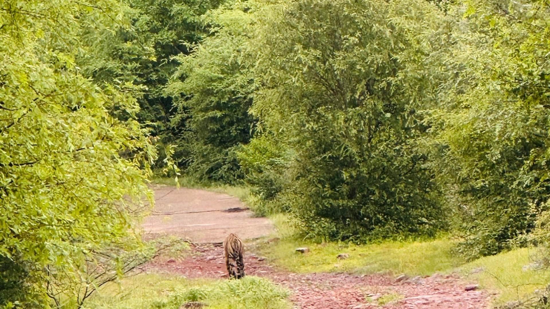 रामगढ़ विषधारी टाइगर रिजर्व।