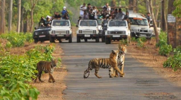 Travel Guide Perfect 2–3 Day Getaways Near Agra Promise Big Fun