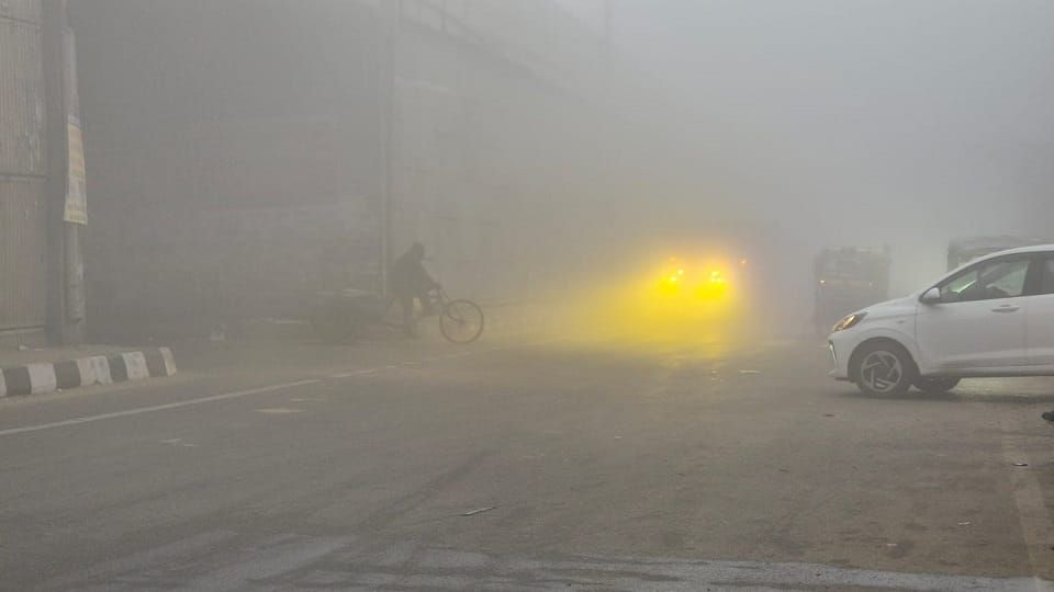 Dense Fog in Haryana Rain Prediction Today Weather Report