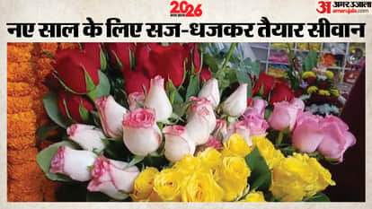 Bihar News Siwan Set to Welcome New Year 2026 at Midnight Tonight Know Preparation Details in Hindi