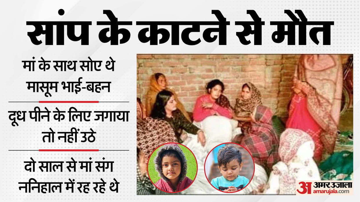 Innocent brother and sister were bitten by a snake while they were sleeping both died In Ghazipur