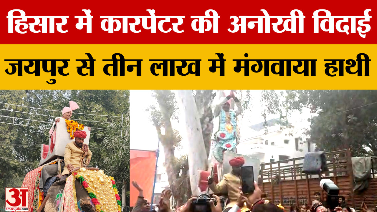 हिसार में कारपेंटर की विदाई में जयपुर से तीन लाख में मंगवाया हाथी
