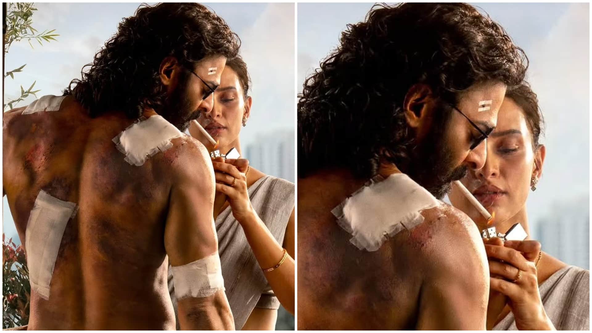 Triptii Dimri Upcoming Movies after O Romeo Spirit Animal Park Parveen Babi Biopic