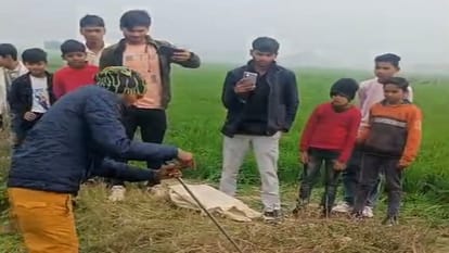 गांव रसगवां में निकला अजगर