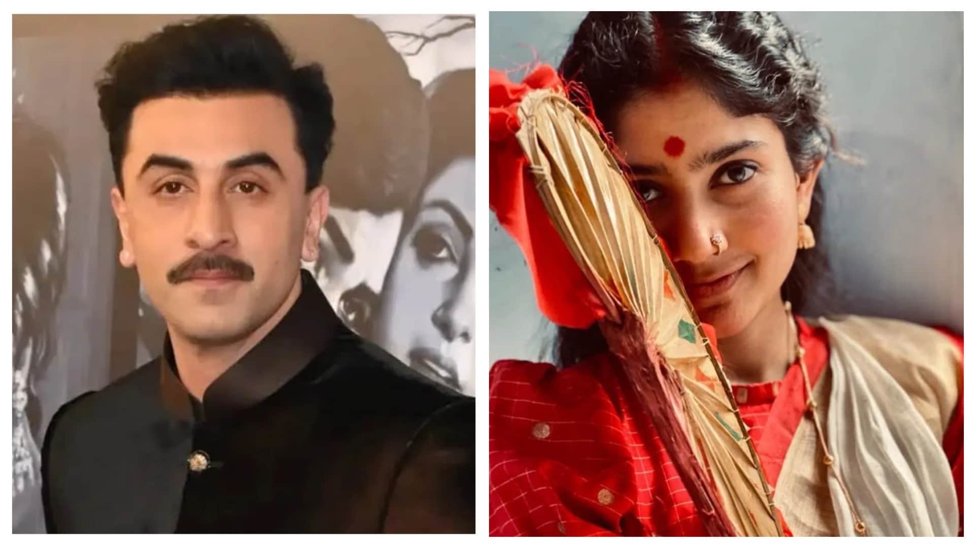 New Year 2026 New Bollywood And South Actors Pairings From Ranbir Sai Pallavi To Varun Pooja