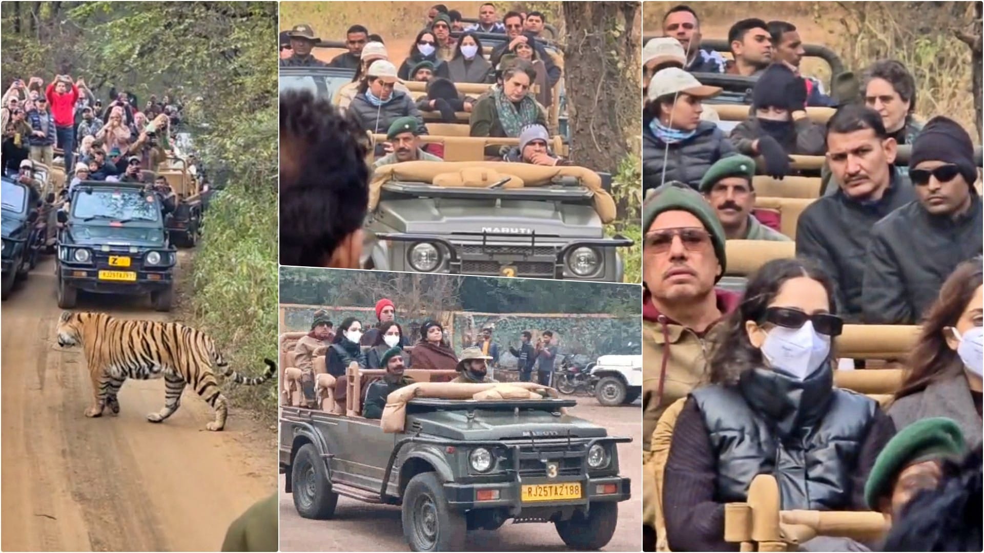 रणथंभौर में जंगल सफारी करते हुए गांधी-वाड्रा परिवार