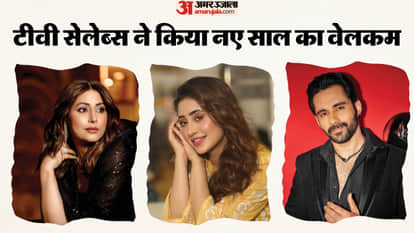 Shivangi Joshi To Hina Khan And Other TV Stars Welcome New Year Social Media Post