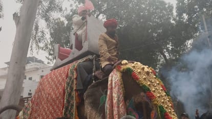 हिसार में कारपेंटर की अनोखी विदाई:तीन लाख रुपये में जयपुर से मंगवाया हाथी, एक  लाख के फोड़े पटाखे - Unique Farewell For A Carpenter In Hisar: An Elephant  Was Brought From Jaipur