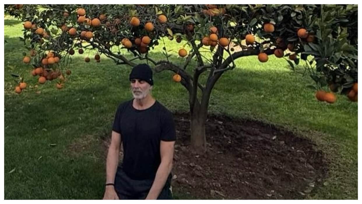 Haiwaan actor akshay kumar share photo with an orange tree reminding himself wishes fans a fruitful 2026