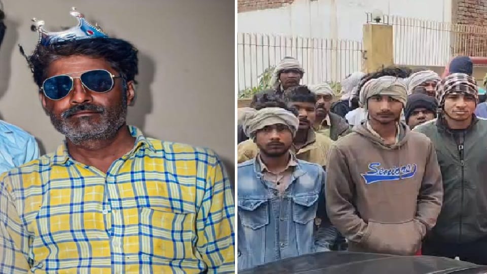 Bullock cart driver and bull killed in collision with unknown vehicle in Bulandshahr