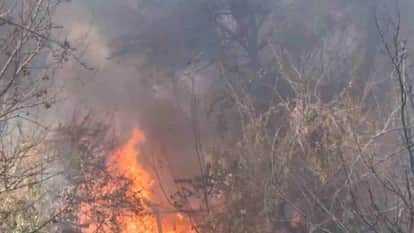 Fire broke out at the army camp near Auli Road in Jyotirmath Chamoli Uttarakhand News in hindi