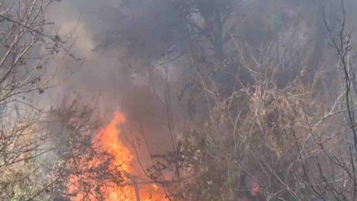 Fire broke out at the army camp near Auli Road in Jyotirmath Chamoli Uttarakhand News in hindi