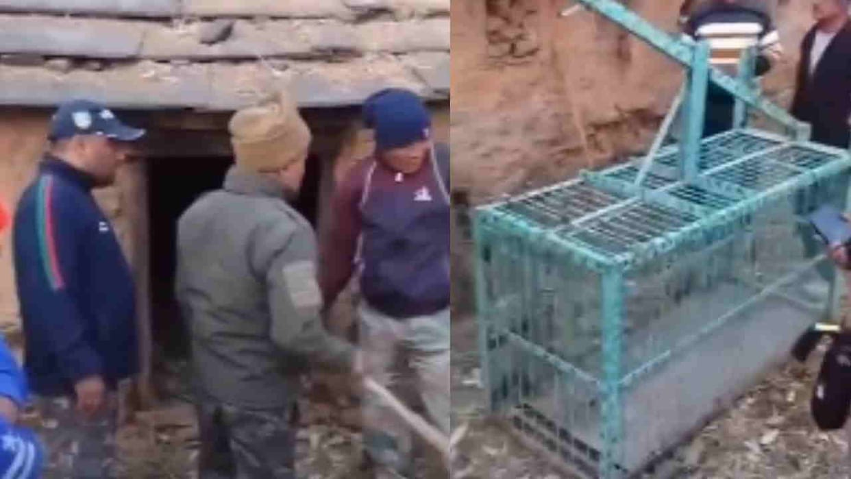 Leopard Attack angry villagers held forest officials hostage department installed a cage in village Gairsain