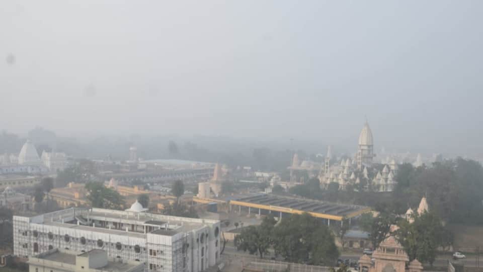 Cold Wave & Dense Fog Grip Meerut, Humans and Animals Struggle for Warmth