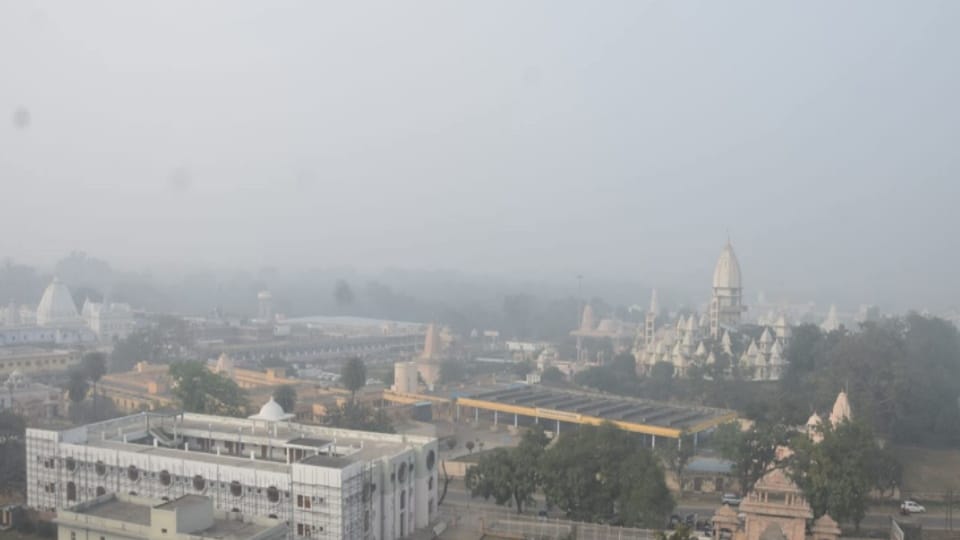 Cold Wave & Dense Fog Grip Meerut, Humans and Animals Struggle for Warmth