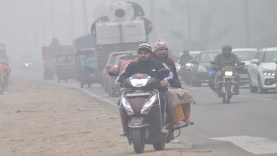 Meerut Weather: Cold Wave Continues in Western UP, Slight Relief Expected from Sunshine