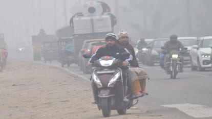 Cold Wave & Dense Fog Grip Meerut, Humans and Animals Struggle for Warmth