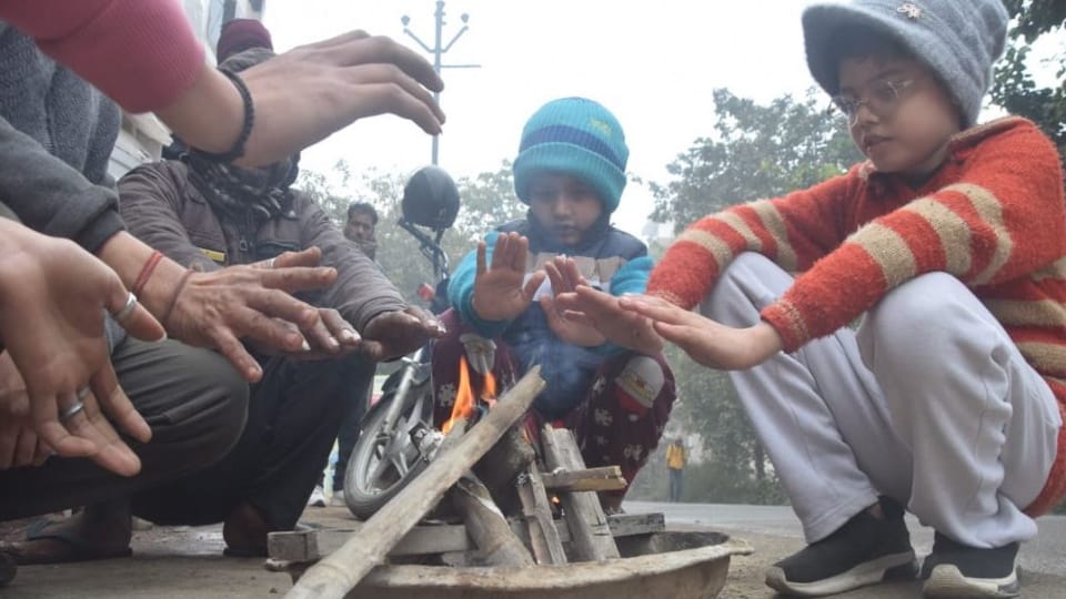 Cold Wave & Dense Fog Grip Meerut, Humans and Animals Struggle for Warmth