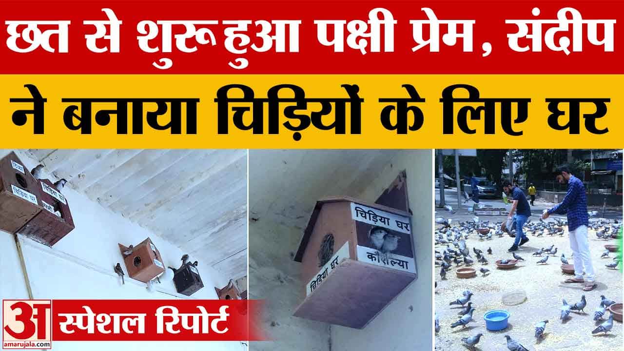 आजाद नगर का संदीप ने पक्षियों के लिए छत पर बसाया सुरक्षित आशियाना