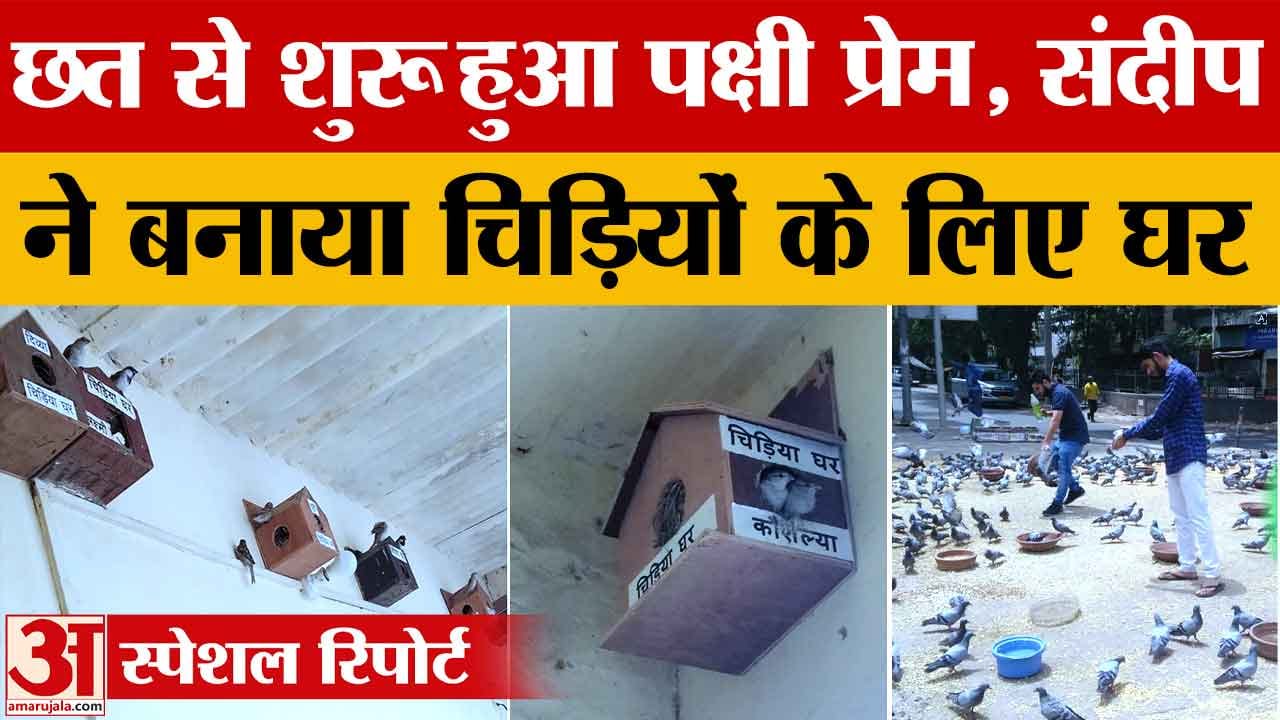 आजाद नगर का संदीप ने पक्षियों के लिए छत पर बसाया सुरक्षित आशियाना