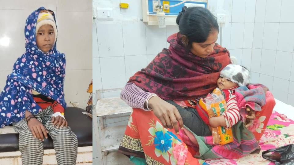 Two children were injured by dogs in Bahraich admitted to medical college