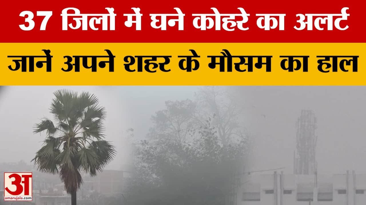 Bihar Weather: 37 जिलों में घने कोहरे का अलर्ट, जानें अपने शहर के मौसम का हाल