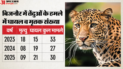 UP: Leopards are reaching every street... preparations are underway for sterilization; 444 leopards have been