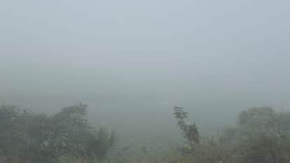 Bihar Weather: Dense fog alert issued for Bihar cold weather expected to intensify weather forecast.