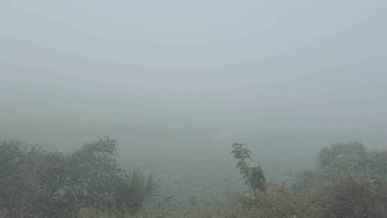 आज सुबह कई इलाकों में घना कोहरा देखने को मिला।
