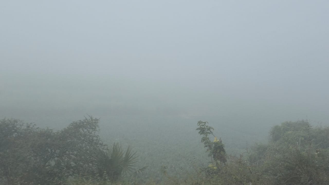 आज सुबह कई इलाकों में घना कोहरा देखने को मिला।