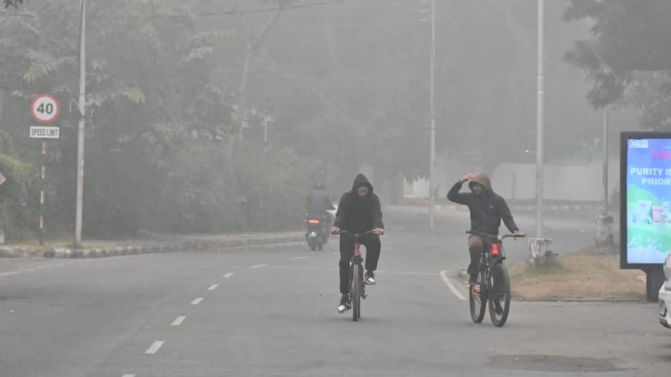Dense fog in Chandigarh five-degree Celsius difference between day and night temperatures weather update