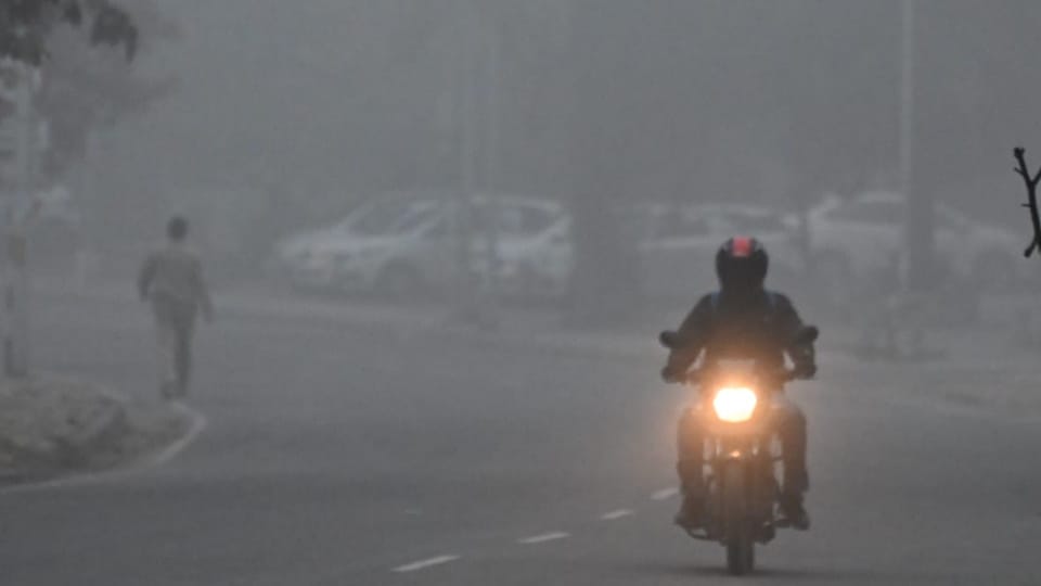 Dense fog in Chandigarh five-degree Celsius difference between day and night temperatures weather update