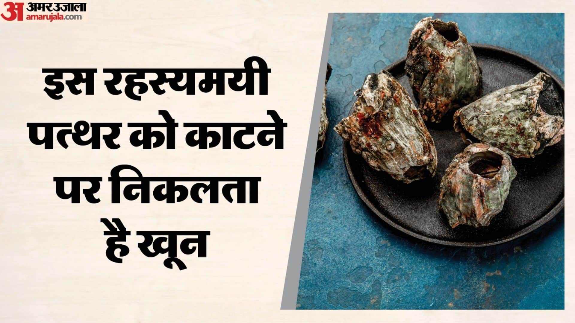 Mysterious Stone That Bleeds When Cut Know Truth Behind Interesting Facts in Hindi