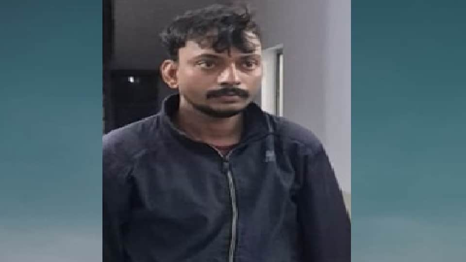 Moradabad murder son drank alcohol after kill his mother and then concocted plan to make look like an accident