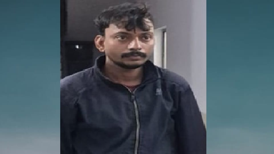 Moradabad murder son drank alcohol after kill his mother and then concocted plan to make look like an accident