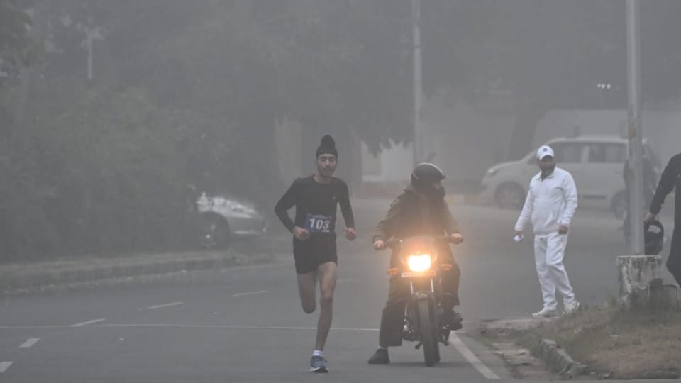 Dense fog in Chandigarh five-degree Celsius difference between day and night temperatures weather update