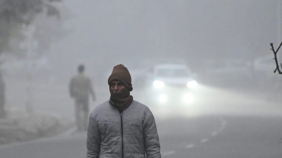 Dense fog in Chandigarh five-degree Celsius difference between day and night temperatures weather update