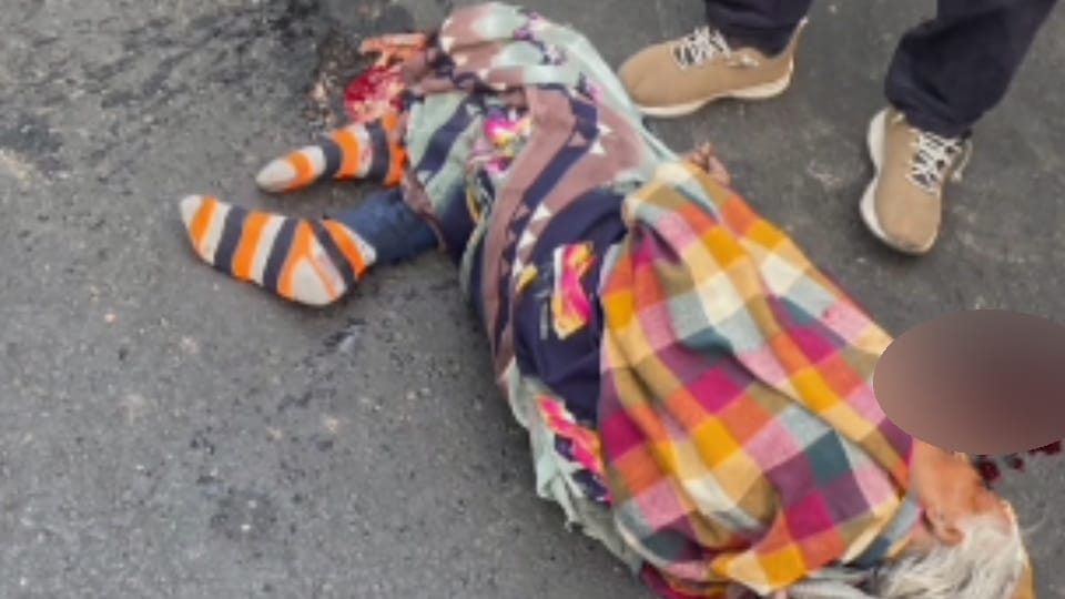 Elderly woman who come from Uttar Pradesh to Punjab to meet her grandson hit by bus and died